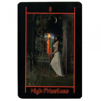 Tarot of the Night kortos Schiffer Publishing